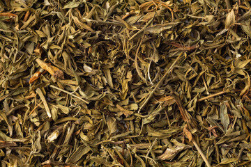 Ruta graveolens - Dried leaves of the rue plant