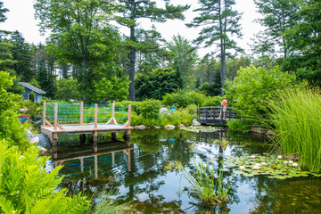 Beautiful pond or lake inside the botanical garden. Green trees and nature-feels.