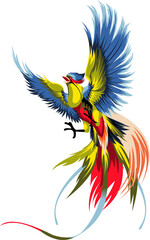 colorful bird illustration