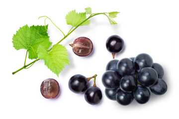 Bunch of dark blue grape with grape leaf isolated on white background, top view, flat lay.	