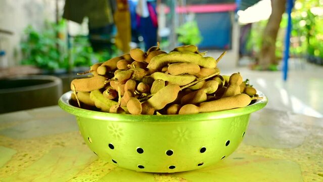 Tamarind pods in aluminum bowl, Thailand.