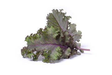 kale leaf isolated on white