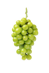 Green grape isolated on white