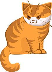 Orange Cat Character