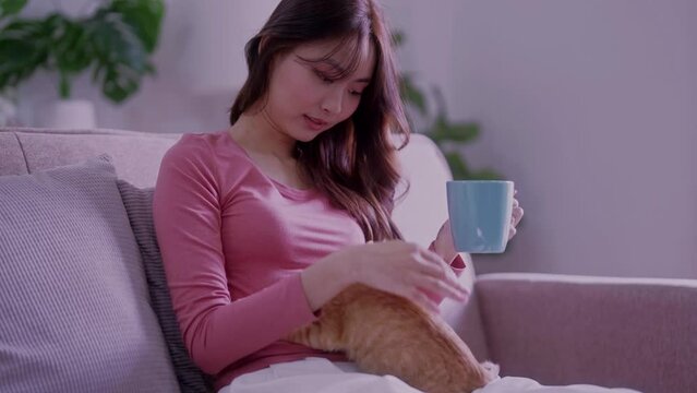 woman in a plaid drinking hot tea, petting a relaxed cat while stroking a cat sitting on her lap on the sofa at home.