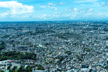 高層ビルから望む横浜の市街地風景