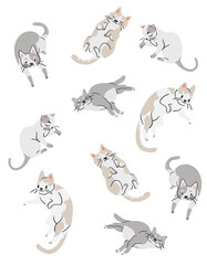 Cat vector illustration for t shirt design