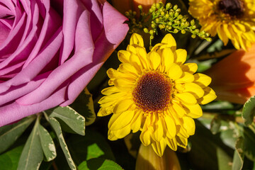 Macro texture background of fresh bright flowers in an indoor florist arrangement, featuring a yellow chrysanthemum blossom