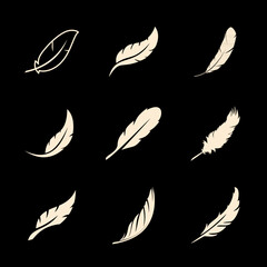 Vector group of white feather on black background. Easy editable layered vector illustration.