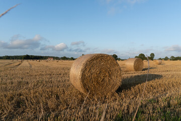Closeup landscape with hay bales or straw on a beautiful sunny evening in France