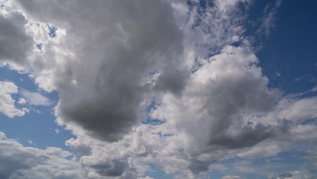Blue sky white clouds. Puffy fluffy white clouds. Cumulus cloud cloudscape timelapse. Summer blue sky time lapse. Nature weather blue sky. White clouds background. Cloud time lapse