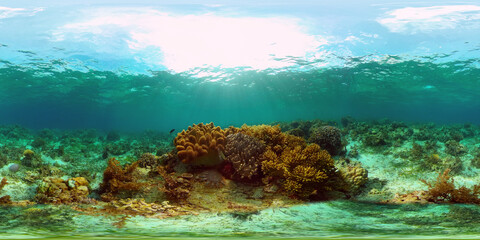Tropical coral reef seascape with fishes, hard and soft corals. 360 panorama VR