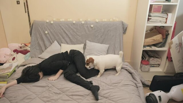 A girl is at home with her dog, a cute lively Jack Russell terrier trying to playfully hump her leg.