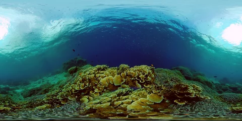 Keuken spatwand met foto The underwater world of coral reef with fishes at diving. Coral garden under water. Coral Reef Fish Scene. Philippines. 360 panorama VR © Alex Traveler