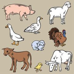 Illustration drawing style of farm animals collection