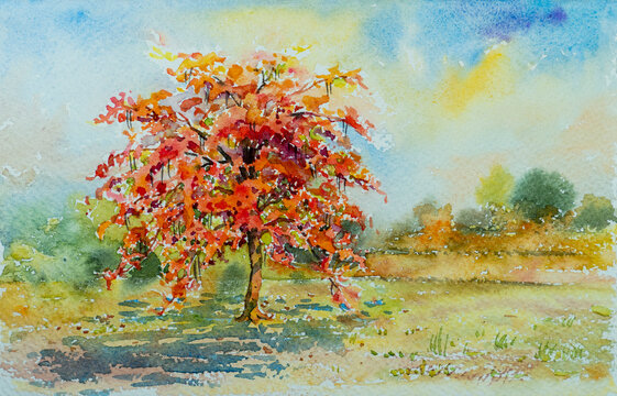 Abstract painting watercolor landscape red color of peacock flower in garden .