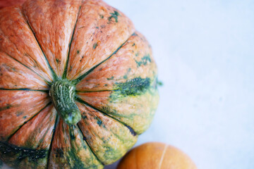 Autumn composition. Colorful pumpkins from the garden, on a white background. Autumn, autumn...