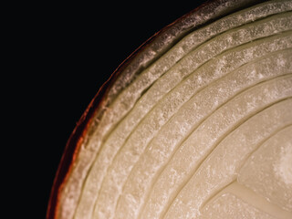 close up of an onion