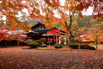 角館武家屋敷の紅葉する庭園