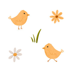 Set of Cartoon domestic chickens, daisy and sunflower. Digital hand drawn farm birds illustration for textile design, poster, postcard. Cartoon style character drawing for printing on an isolated