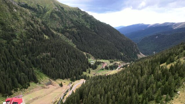 Dense lush pine tree forest shrouds both sides of Transfagarasan Serpentine Road in Romania