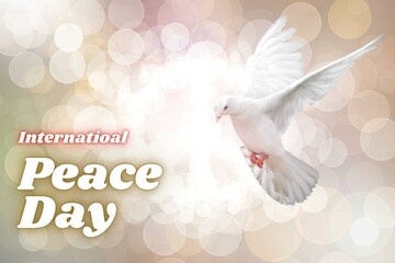 International Day of Peace, September 21st: Fostering peace and reducing conflict worldwide. Dove as a symbol of peace or sign of peace. - obrazy, fototapety, plakaty