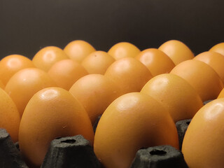 Fresh chicken eggs arranged in a black egg rack, close-up.