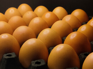 Fresh chicken eggs arranged in black egg panels.