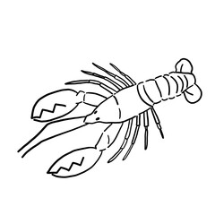 illustration of a cartoon shrimp