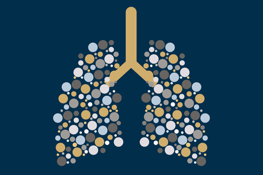 Human lungs in the form of bubbles. Internal organ