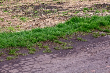 overgrown with grass on the side of the road