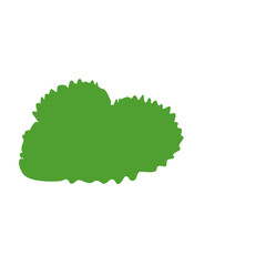 Green tree bush