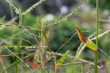 Flat lay of small plants around the house