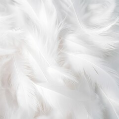 Fototapeta na wymiar Soft feather Surface background white tones