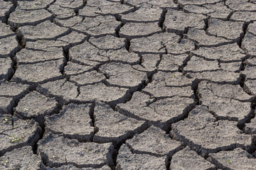 The ground has cracks in the top view for the background or graphic design with the concept of drought and death
