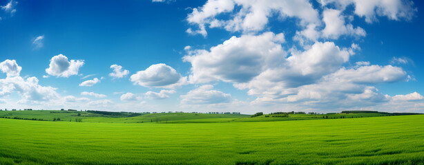 Fototapeta na wymiar blue sky, green grass on the field, beautiful rural landscape. Generative Ai