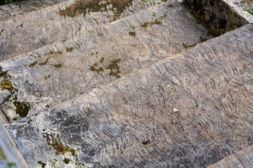 Blur object for background with nature theme