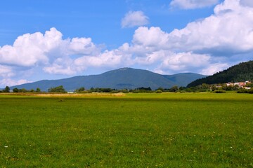 Fototapeta premium Field at lake Cerknica and Slivnica hill in the background in Notranjska, Slovenia