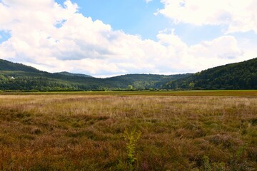 Fototapeta premium Forest covered hills around polje at intermittent karst dry Cerknica lakebed in Notranjska, Slovenia