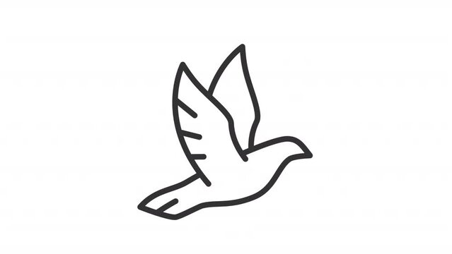 Dove animated icon. Bird levitating line animation. Symbol of peace. Flying pigeon. New beginning. No war. Black illustration on white background. HD video with alpha channel. Motion graphic