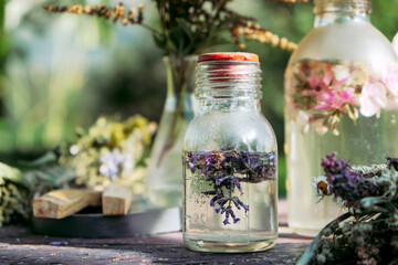 Aromatherapy,esotericism,occultism,herbal gathering and drying,aesthetic herbal pharmacy,organic...