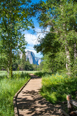 Tranquil trail through Yosemite valley in Summer. California National Park.