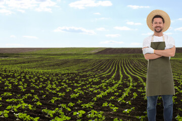 Confident farmer with crossed arms in field. Harvesting season