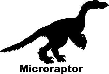 Microraptor Dinosaur silhouette dinosaur monogram dinosaur species dinosaur breed types of dinosaurs, types of dinosaurs, dinosaur monogram, dinosaur breed