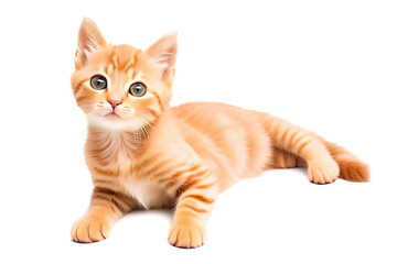 Cute red ginger cat sitting isolated on white background. Closeup. Generative AI