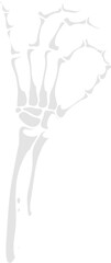 Skeleton hand ok gesture, isolated vector skeletal arm with bony fingers forming a circle and thumb touching, symbolizing approval or agreement, blending the macabre with a sign of affirmation