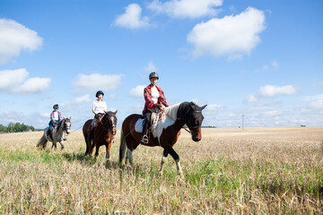Horseback riding. Horseback riding. Young women equestrians gallop on horses through a field on a...