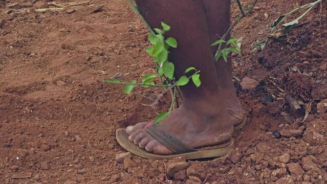 Yapon porno chochqachilik banki Voyaga yetgan rus ayolidan minora