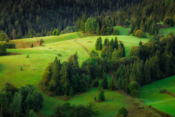 Obraz premium Morning mists under the Tatra Mountains, Slovakia.