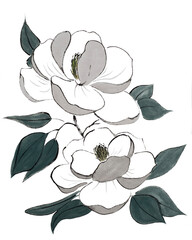 Two big white magnolia flowers, dark green leaves (painted with ink and Chinese watercolors on xuan paper, oriental style). Texture of paper and brush strokes - intact. Background`s been removed